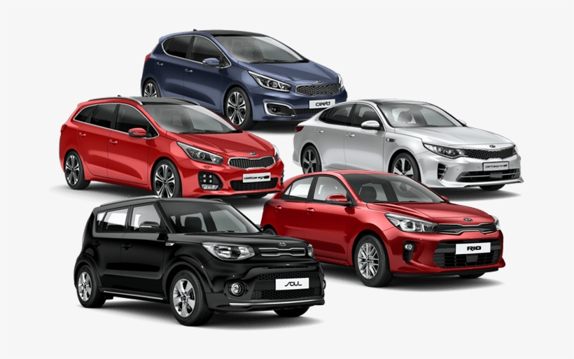 Vehicle Rental vehicle rental